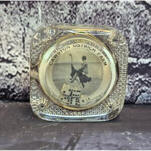 Vintage 1908 Cawston Ostrich Farm Gambling Glass Paperweight California